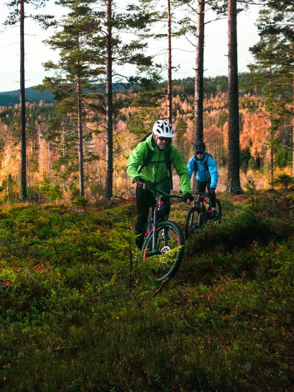 Höga Kusten cykling cykla mountainbike höst skog