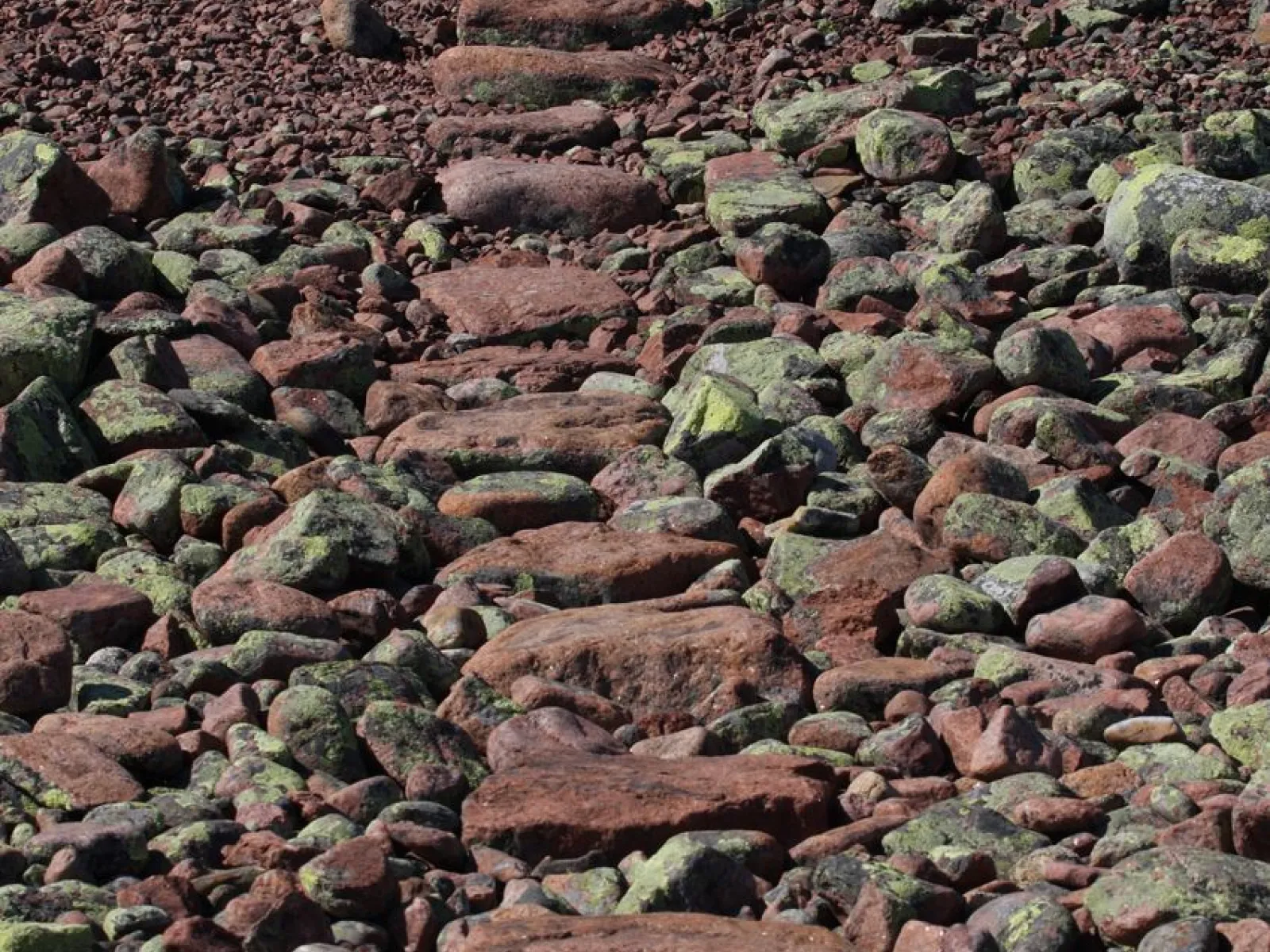 Kvarkenrådet Naturschutzgebiet Norrfällsviken