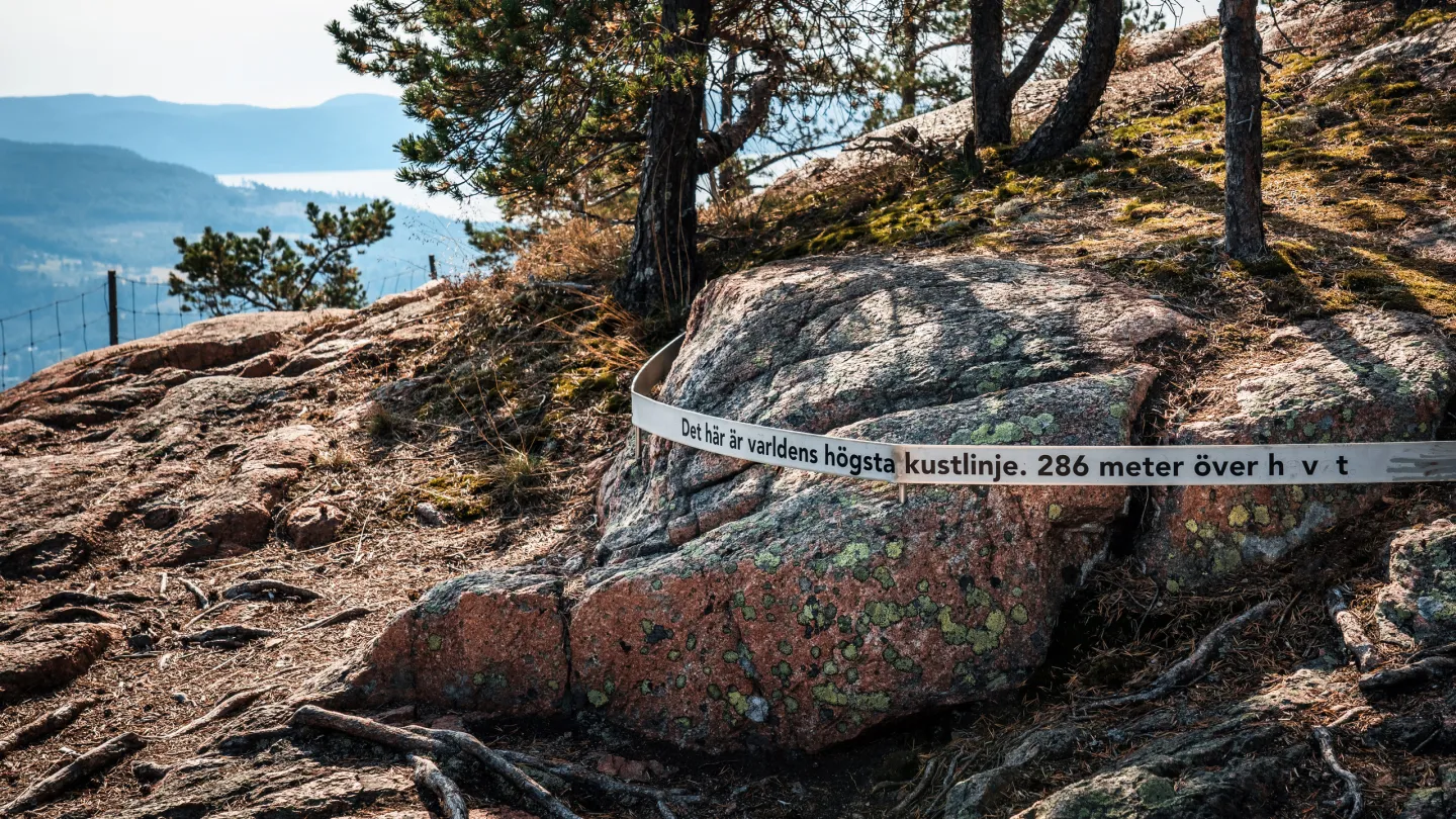 Högsta kustlinjen på Skuleberget 286 meter