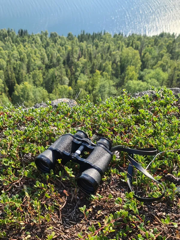 Utsikt Fäberget närbild kikare