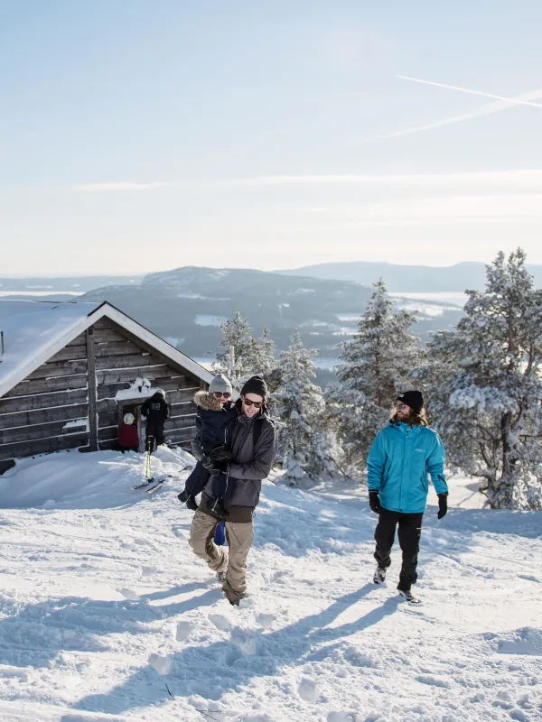 vinter från skulebergets toppstuga utsikt