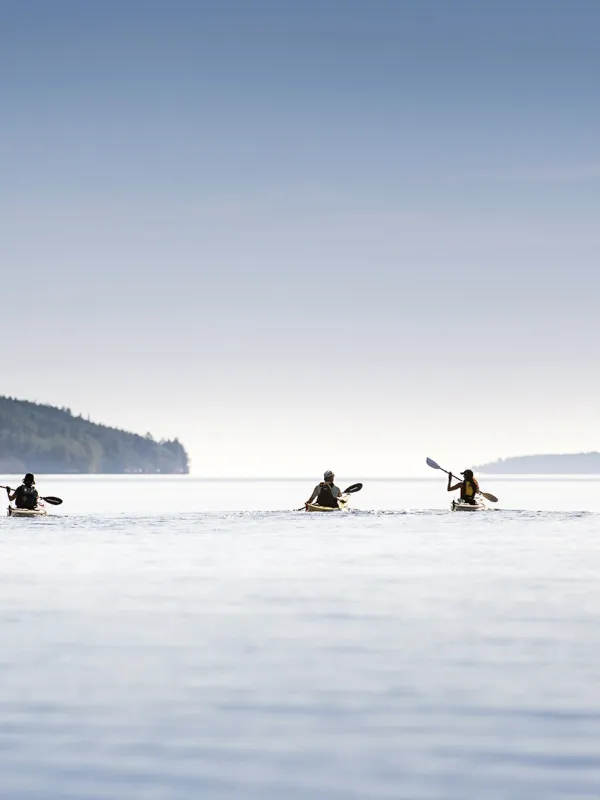 kajak paddling höga kusten