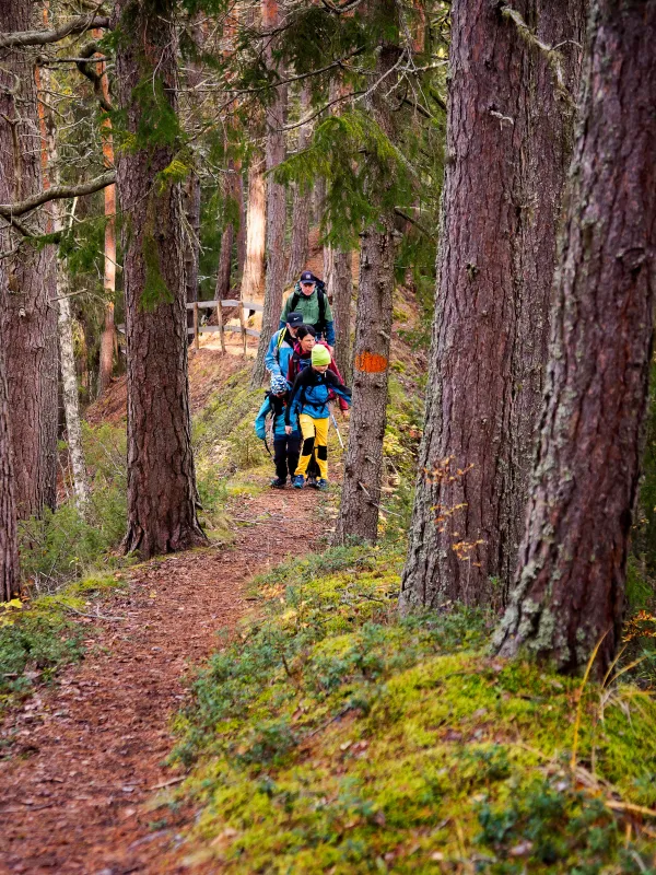 vandring på niporna