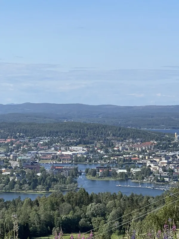 vårdkasen