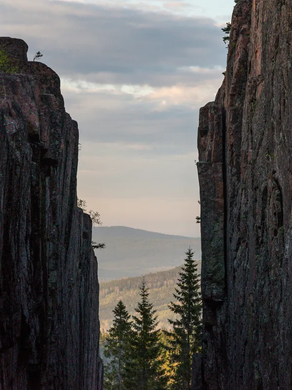 slåttdalsskrevan i skuleskogens nationalpark