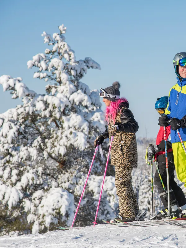 Powder or corduroy