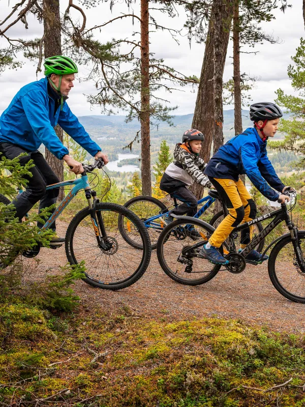 Biking in the High Coast