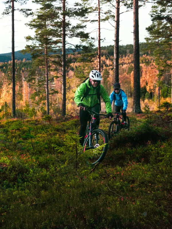 Höga Kusten cykling cykla mountainbike höst skog